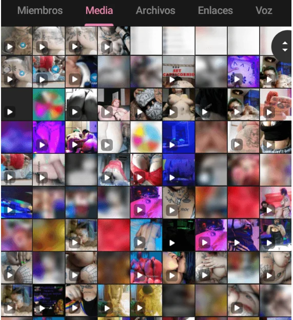 Contenido Restringido