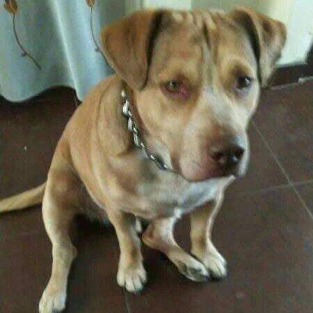 Plebeyo ElReyRolo Trap🇨🇴  Amistad mundial y mucho mas