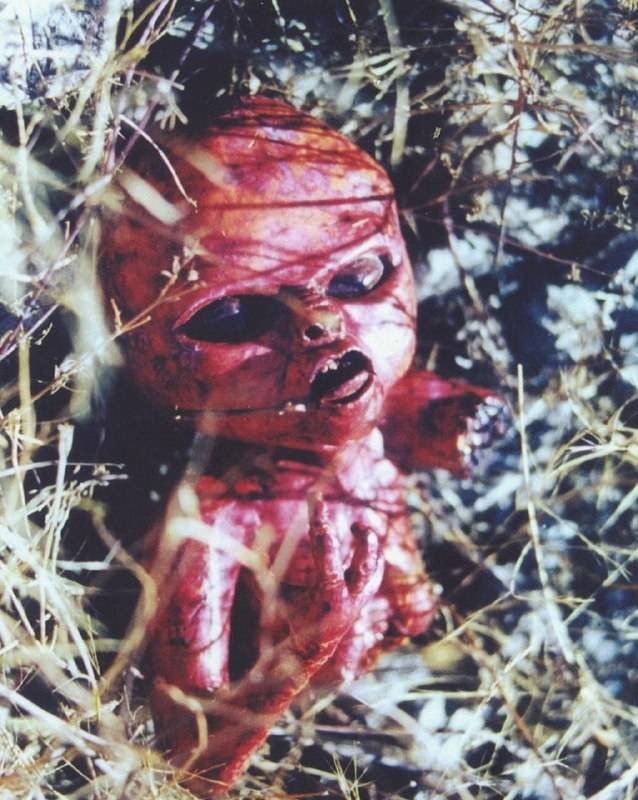 Misterios y Voces del Más Allá 👁️‍🗨️